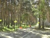 Каштакский бор