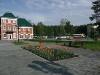 Лесная сказка