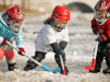 Сколько стоят занятия хоккеем на на Урале и в Западной Сибири