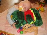 Спят усталые игрушки (фото от Галины Волокитиной)