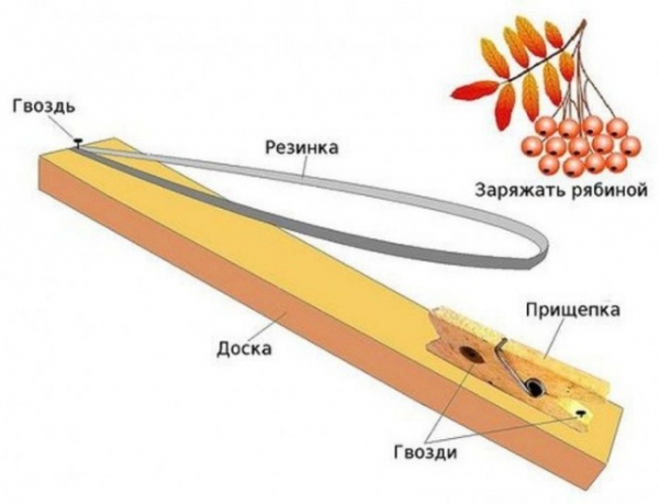 пугач2.jpg